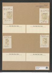 Actinocyclus ehrenbergii Ralfs. (de-Toni-Nr.: Genus 195, Species 4779) Zeichnungen Sammlung Grunow Nr. 8413 (NHMW-BOT-W0377855)